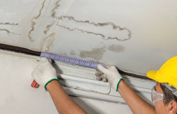 Reliable Burst Pipe Cleanup contractor in Paxton, IL by Water Damage Irwin